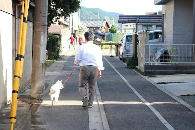 ワンちゃんのお散歩 パート２ 京都 やましなぐらし